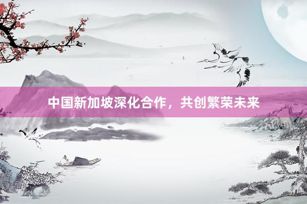 中国新加坡深化合作，共创繁荣未来