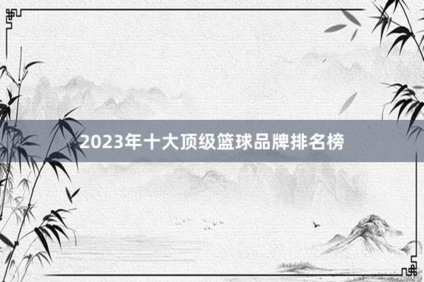 2023年十大顶级篮球品牌排名榜